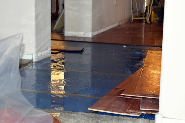 Professional Basement Flood Cleanup technician working in Central, TN